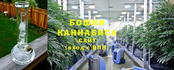 Альфа ПВП Белокуриха