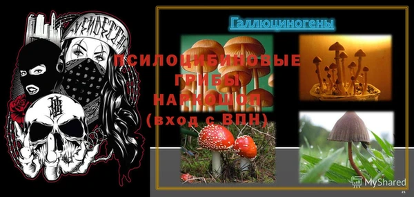 винт Баксан