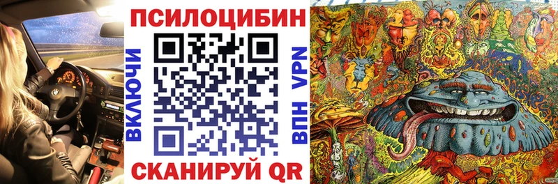 где найти   Няндома  мега tor  Галлюциногенные грибы Cubensis 